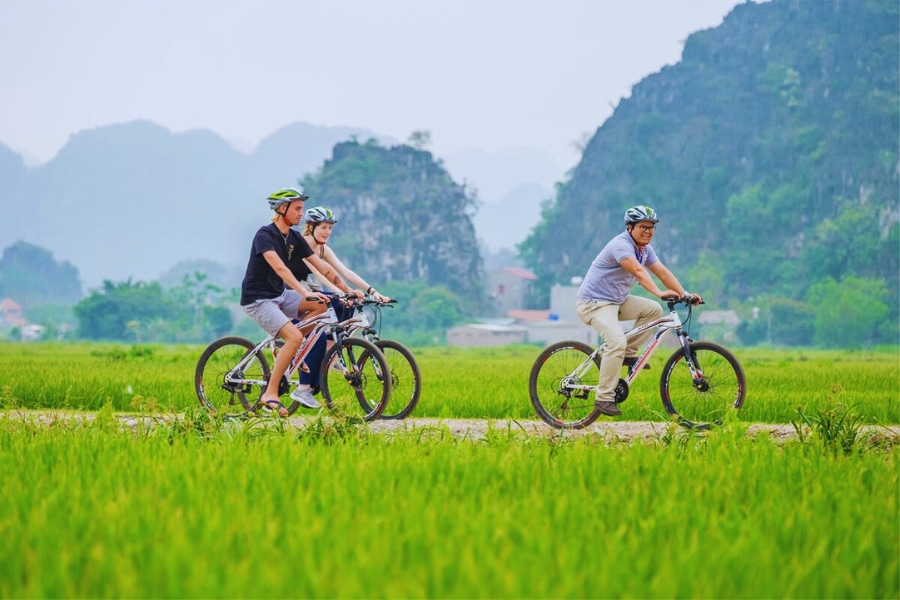 Cycling through Ninh Binh rice fields with limestone mountains in Vietnam